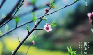 二月打雷是什么征兆