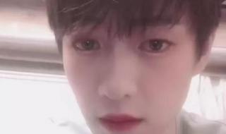 魏大勋画了大勋花 魏大勋画了大勋花