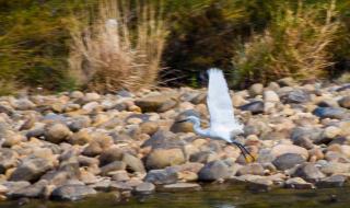 武夷山九曲溪竹筏漂流门票多少钱 武夷山九曲溪漂流