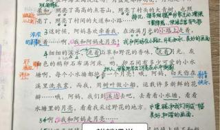 月光曲课文笔记内容概括 走月亮课堂笔记