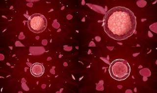 细胞激活素 细胞激活素