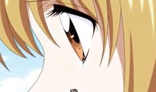 人鱼的旋律中文歌曲 人鱼的旋律中文歌曲