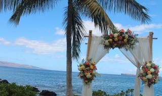 夏威夷姐妹 夏威夷姐妹