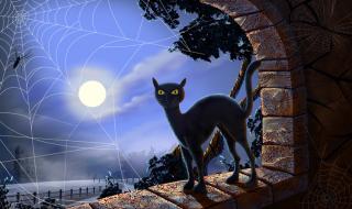 光遇万圣节照片壁纸怎么拍 万圣节壁纸