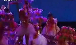 歌词我要飞得更高是什么曲目 舞蹈飞得更高