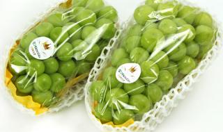 晴王葡萄摘下来没熟怎么办 晴王葡萄价格大跳水