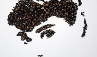 微信头像弄个小红旗怎么弄 国旗头像制作小程序