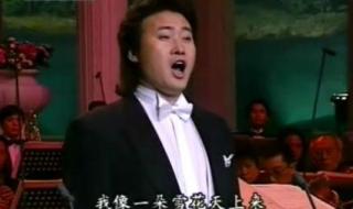 我像雪花天上来 我像雪花天上来