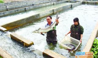 养殖技术顾问什么意思 养殖技术顾问杂志