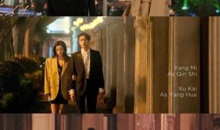 爱的二八定律更新日历解读 二八定律为什么停更