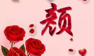 时光不老我们不散 时光不老我们不散