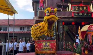 一什么舞狮 舞狮点睛用什么颜色