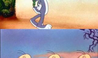 兔八哥东北方言版