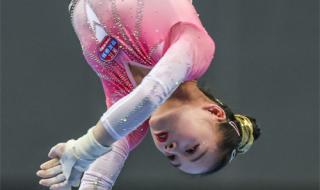 张国伟2023年要参加奥运会吗 2023年奥运会吉祥物